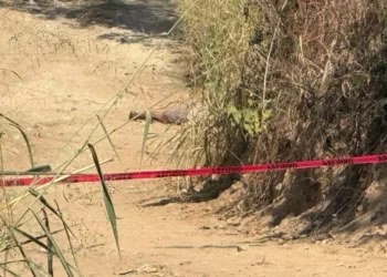 Le arrancan la vida con plomo en el río de Las Arenas, en Pinotepa Nacional