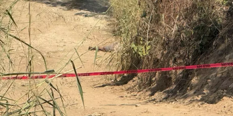Le arrancan la vida con plomo en el río de Las Arenas, en Pinotepa Nacional
