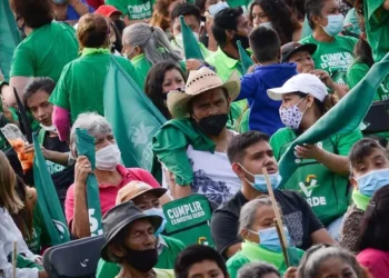 Partido Verde condiciona apoyo a la Reforma electoral.