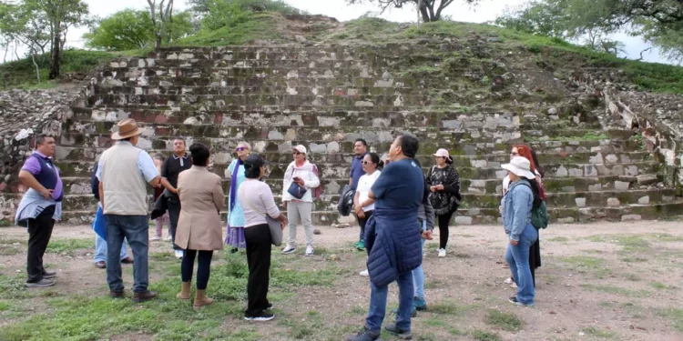 Se prevé realizar intervenciones periódicas en el Cerro de las Minas, dada la amplia extensión territorial que abarca.