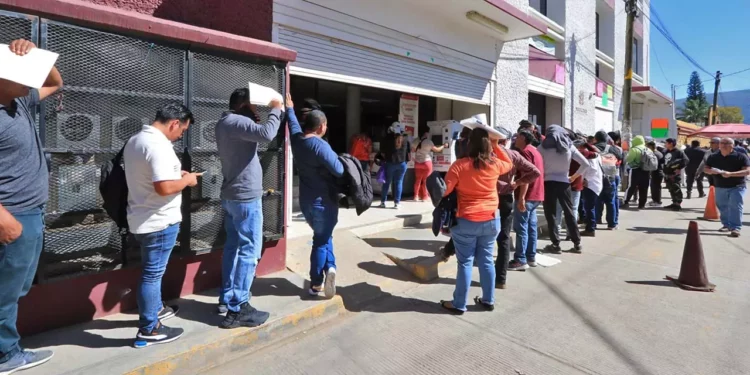 Foto: Adrián Gaytán // Semovi, los mismos vicios de todos los años; largas colas y puerta abierta a la opacidad.