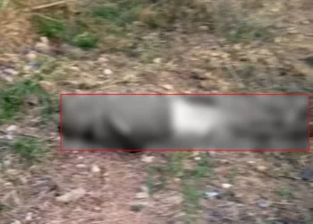 Vecinos encuentran a hombre sin vida.