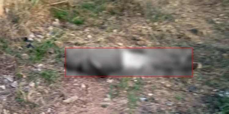 Vecinos encuentran a hombre sin vida.
