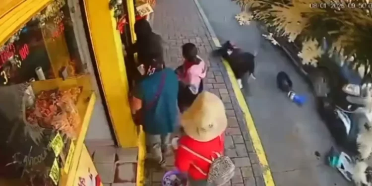 VIDEO | Salvaje atropellamiento de motociclista en calles de Nochixtlán
