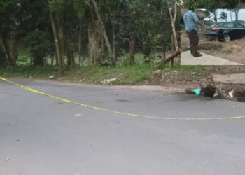 ¡Matricidio en Veracruz! Mata a su mamá y la calcina en Agua Dulce