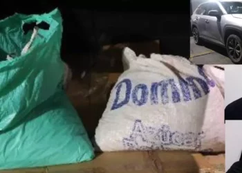 Aseguran 100 kilos de cartuchos percutidos durante operativo en Oaxaca de Juárez