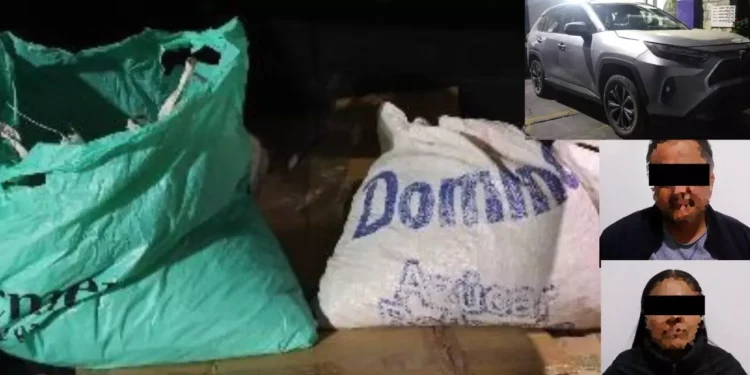 Aseguran 100 kilos de cartuchos percutidos durante operativo en Oaxaca de Juárez