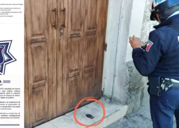 VIDEO | Falsa alarma en el centro de Oaxaca: reportan mano infantil y resulta ser de plástico