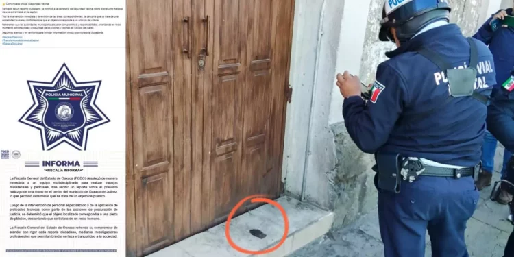 VIDEO | Falsa alarma en el centro de Oaxaca: reportan mano infantil y resulta ser de plástico