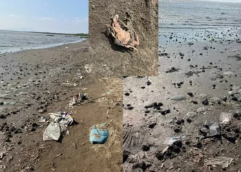 El abandono mata Playa Unión: fauna marina muere mientras la basura se apodera