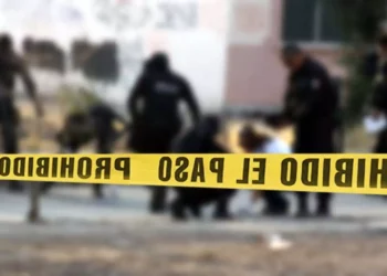 Oaxaca registró 788 homicidios dolosos durante el periodo de enero a diciembre de 2025.