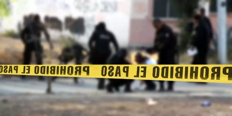 Oaxaca registró 788 homicidios dolosos durante el periodo de enero a diciembre de 2025.