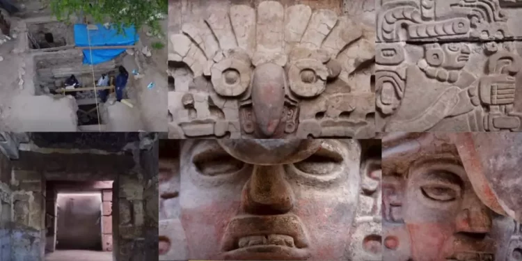 VIDEO | Oaxaca vuelve a sorprender al mundo con el mayor hallazgo arqueológico de la década