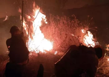 Foto: Coesfo // Consume el fuego los bosques de al menos 6 comunidades.