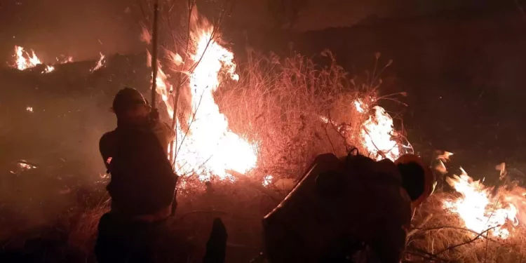 Foto: Coesfo // Consume el fuego los bosques de al menos 6 comunidades.