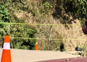Foto: redes sociales // El asesinato de un policía en Pluma Hidalgo desestabilizó al quinto estado más seguro del país.