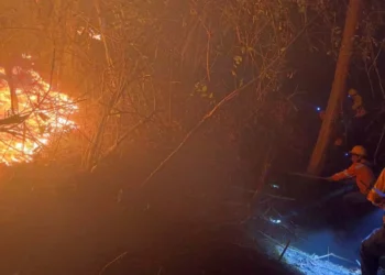 Foto: redes sociales // Habitantes de San Miguel del Puerto difundieron imágenes del incendio que combatían en fin de semana.