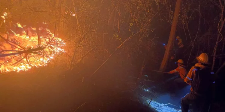 Foto: redes sociales // Habitantes de San Miguel del Puerto difundieron imágenes del incendio que combatían en fin de semana.