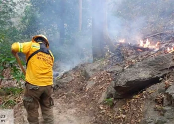 Foto: Coesfo // La Brigada Mixtequilla combate el fuego en los parajes La Ventana, Tanque y Los Mangales, en San Miguel Chimalapa.