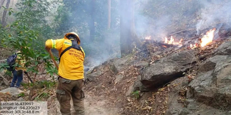 Foto: Coesfo // La Brigada Mixtequilla combate el fuego en los parajes La Ventana, Tanque y Los Mangales, en San Miguel Chimalapa.