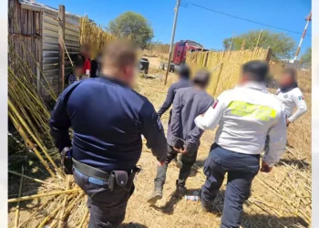 Aseguraron a un hombre de aproximadamente 50 años de edad, como presunto responsable.