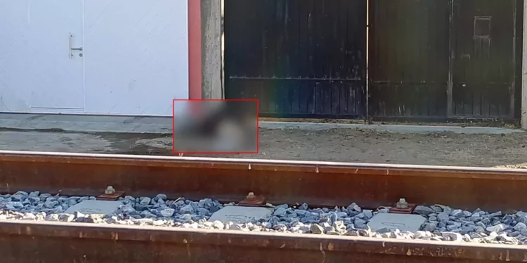 El cuerpo fue levantado y trasladado por personal de conocida funeraria donde permanece en calidad de desconocido.