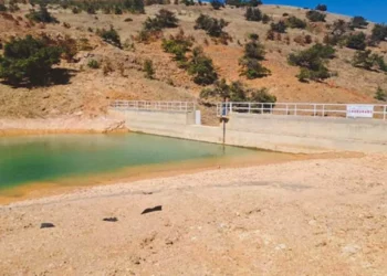 La medida se llevó a cabo el pasado 4 de febrero, tras una visita de inspección.