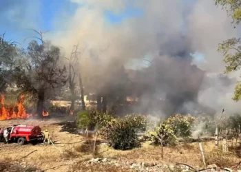 Un incendio de carrizos y pastizal fue atendido por los bomberos.