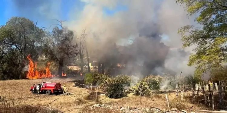 Un incendio de carrizos y pastizal fue atendido por los bomberos.