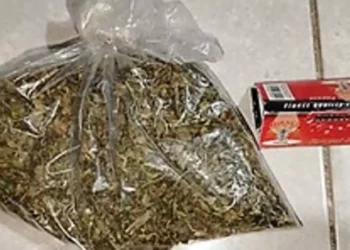 Al realizarle una inspección le encontraron una bolsa con hierba seca color verde.