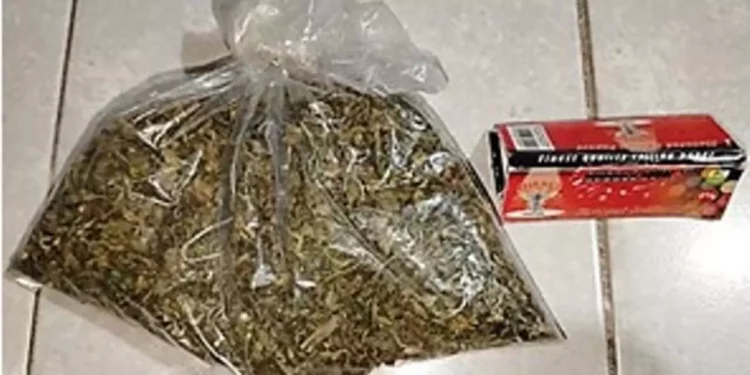 Al realizarle una inspección le encontraron una bolsa con hierba seca color verde.