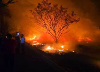 Foto: redes sociales // Incendio de pastizales la noche del lunes en riberas del Atoyac.