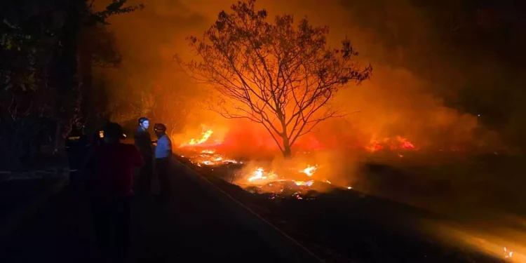 Foto: redes sociales // Incendio de pastizales la noche del lunes en riberas del Atoyac.