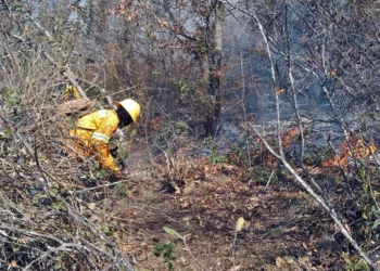 Foto: redes sociales // Sofocan ya otros tres incendios.