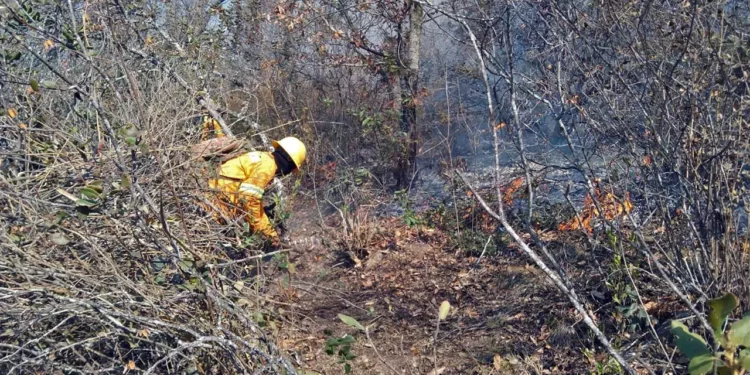 Foto: redes sociales // Sofocan ya otros tres incendios.