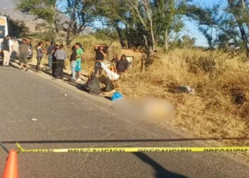 Campesino de 74 años muere arrollado en Ocotlán; conductor fuga es detenido