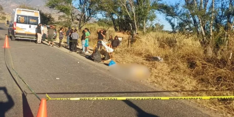 Campesino de 74 años muere arrollado en Ocotlán; conductor fuga es detenido