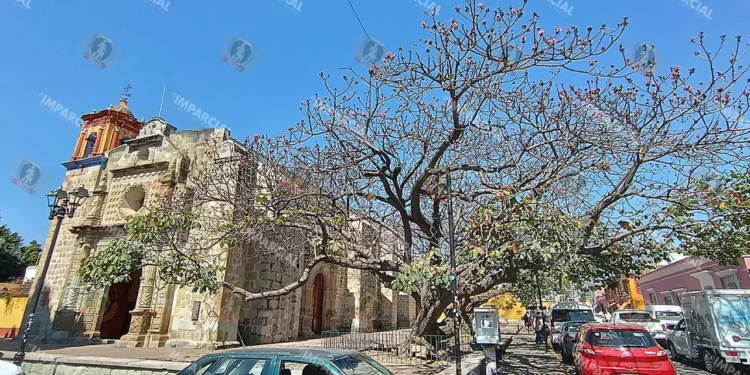 Fotos: Lisbeth Mejía // Algunos indican que los coquitos fueron sembrados al tiempo que construían el templo.