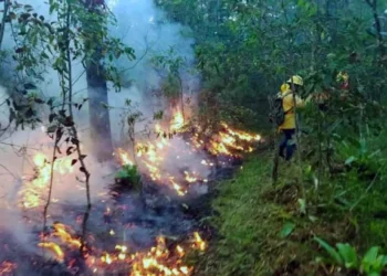 Foto: Coesfo // Ayer se combatían 4 incendios en territorio estatal.