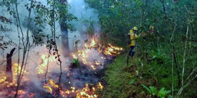 Foto: Coesfo // Ayer se combatían 4 incendios en territorio estatal.