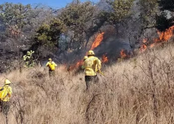 Foto: Gobierno de Oaxaca // Brigadas de Coesfo apenas van en camino para combatir el siniestro en Los Chimalapas.