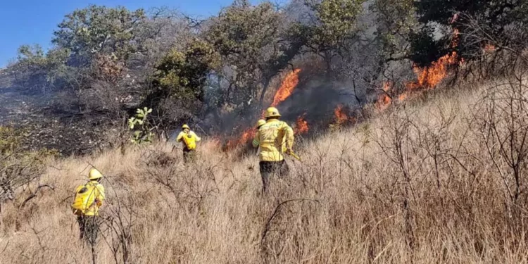 Foto: Gobierno de Oaxaca // Brigadas de Coesfo apenas van en camino para combatir el siniestro en Los Chimalapas.