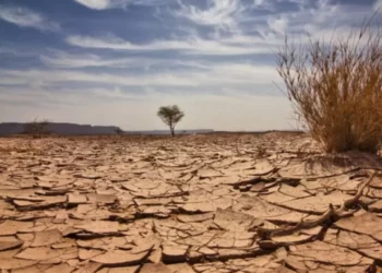 México se calienta más rápido que el mundo y ya roza los 2 grados, alerta la UNAM