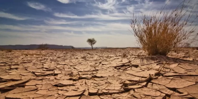México se calienta más rápido que el mundo y ya roza los 2 grados, alerta la UNAM