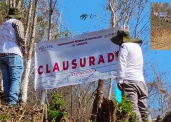 Profepa clausura dos proyectos inmobiliarios ilegales en la Costa e Istmo de Oaxaca