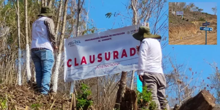 Profepa clausura dos proyectos inmobiliarios ilegales en la Costa e Istmo de Oaxaca