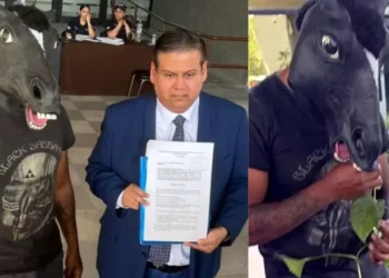 VIDEO | ¡No es broma! Hombre “caballo” presenta iniciativa de ley en el Congreso de Nuevo León a favor de los therian