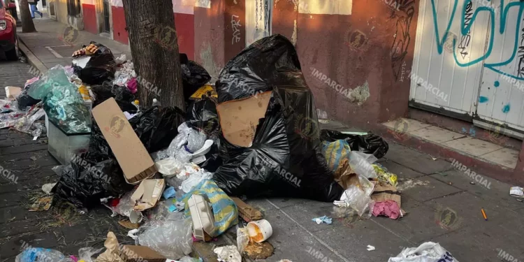 Foto: Adrián Gaytán // Diversos puntos de la ciudad son utilizados como basureros a cielo abierto. Municipio ha sancionado.
