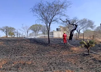 Evitan que incendio de pastizales se salga de control.
