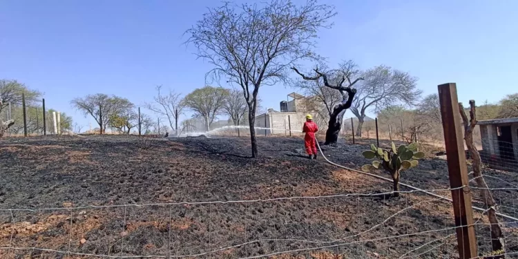 Evitan que incendio de pastizales se salga de control.